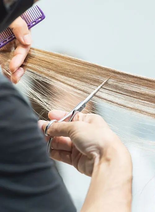 カットイメージ